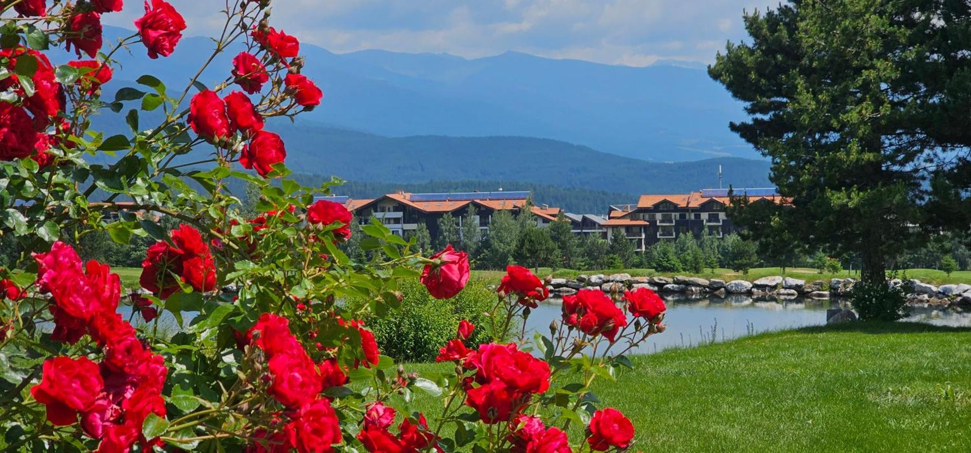 Green Peaks Suite In Pirin Golf & County Club Razlog Exterior photo